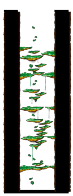 南部森林训练场2