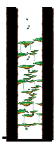 猴林迷宫1