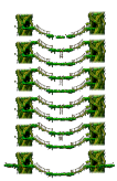大木林2