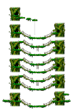 大木林3