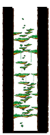 北部森林训练场5