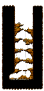 火独眼兽洞穴2