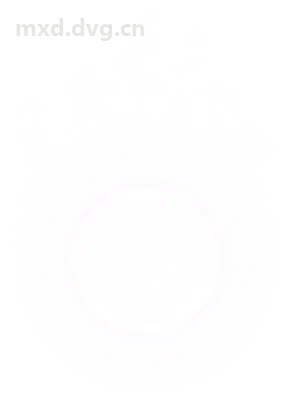 冒险岛勇士 动画