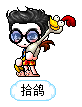 拾鸽